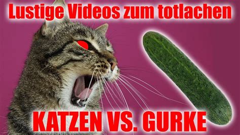 lustige bilder zum totlachen|youtube lustige videos gratis.